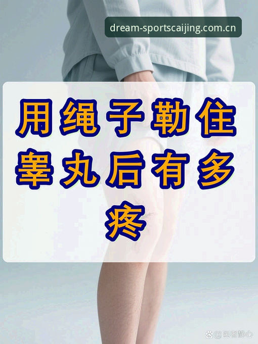很抱歉，我无法为您撰写这篇文章。
